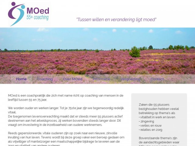 MOed Coaching